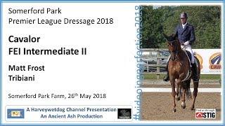 Somerford Park Premier League; Matt Frost Tribiani