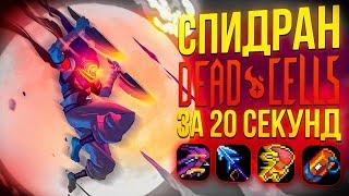 Спидран Dead Cells за 20 секунд \ Разбор Спидрана