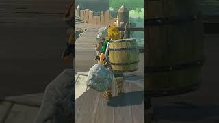 How to Unlock the Camera in Zelda: Tears of the Kingdom