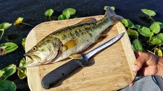 Catch And Cook Largemouth Bass!