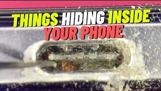 See The Shocking Things Hiding Inside Your Phone. Phone And AirPod Cleaning Under The Microscope.