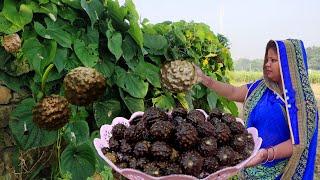 जगंली आलु की स्वादिष्ट सब्जी अगर इस तरह बनाएंगे तो मेहमान भी तारीफ करें बिना रुक नहीं पाएंगे |