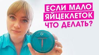 У меня мало яйцеклеток. Что делать?