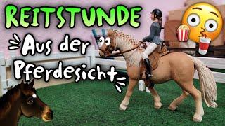 PFERD AUSGEBROCHEN?  Reitstunde aus der Sicht der Pferde    | Reitunterricht #4