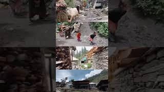 Malana The Oldest Democracy Village #malanavillage #malanashorts #malana #wanderertusharvlogs