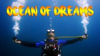 Ocean of Dreams | Scuba diving with Turtles and Friends | Scuba Duka