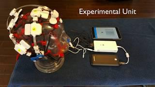 Achieving Higher States of Consciousness with Low Energy Brain Stimulation | Dr. Sanjay Manchanda