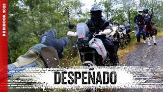 DUCATI CAE por un BARRANCO en la RODIBOOK / Con MCMARTIN, CABRAS SOBRE RUEDAS  y TRAILDREAMER