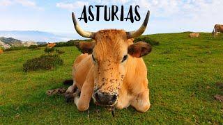 Ruta ASTURIAS en FURGO  #Luanco #Gijón #Tazones #Ribadesella #Cangas #LLanes  |  LUGARES BONITOS