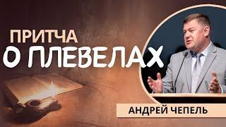 28. Притча о плевелах «Жизнь Иисуса в нас» —  Андрей С. Чепель (Мф.13:24-30)