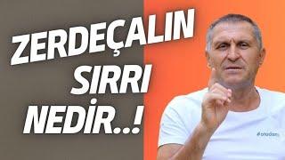 CURCUMİN ZERDEÇAL NEDİR NE İŞE YARAR I ZERDEÇALIN FAYDALARI NELERDİR I ZERDEÇAL NASIL KULLANILIR