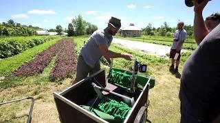 Greens Harvester Fail with Curtis Stone