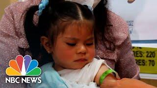 Mass Starvation Predicted Due To Economic Effects Of Pandemic | NBC Nightly News