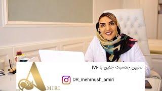 تعیین جنسیت جنین با IVF