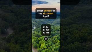 Interesting Animal Facts Quiz: How Many Can You Get Right? #quiz #quizzes #quizgames #trivia