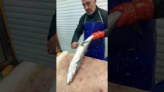 Amazing King Fish Cutting Skill