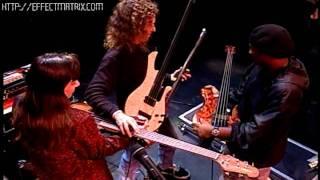 Michael Manring - My three moons - Bass Day 98