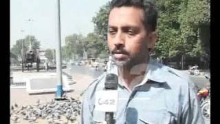 Pigeons In Lahore City Pkg By Azhar Hussain