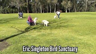 Eric Singleton Bird Sanctuary - Thanks Amillion