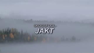 Skogsfugljakt på skuddhold igjen (full movie)