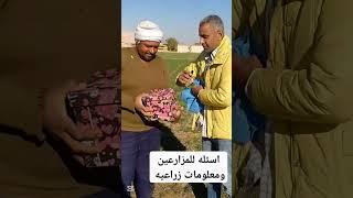 اسئله للمزارعين ومعلومات زراعيه مفيده #زراعه #agriculture