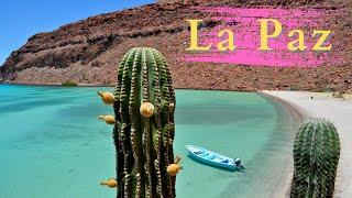 Amazing La Paz, Mexico  - City Center, Food and Beaches