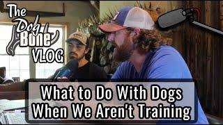 What To Do with Dogs When Not Training | The DogBone VLOG: Ep: #82