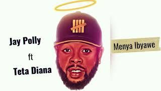 Jay Polly - Menya Ibyawe ft Teta Diana (Official Audio)