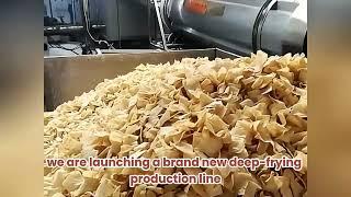 Deep Fried Gourmet Production Line, Leading the New Fashion in Food Industry