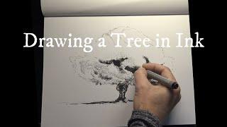 Drawing a Tree in Ink