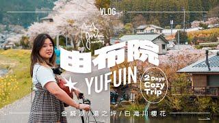 Vlog｜從阿蘇搭巴士去由布院住一晚！湯之坪可樂餅小吃連發櫻花季的白瀧川+金鱗湖 別府溫泉旅館五星推薦！Yufuin vlog | Naomi在旅遊