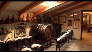 I segreti dell'Aceto Balsamico Tradizionale DOP di Modena