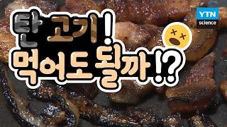 [30초 과학] 탄 고기, 이대로 먹어도 될까?! / YTN 사이언스