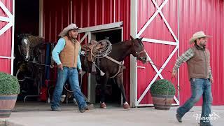 Chamarras Reimer / Estilo Vaquero / Las Tunas Cattle Co