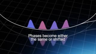 Quantum Neural Network