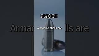 #shorts #BulletproofArmadillos #ArmoredCreatures #NatureFacts #WildlifeWonders #ArmadilloTrivia