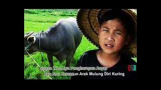 Kustian - Budak Angon (Official Music Video)