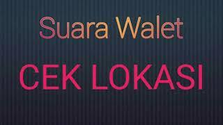 Suara Ceklok walet