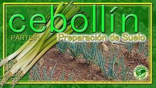 Cebollín. Parte#1: Preparación de Suelo