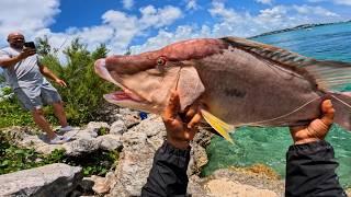  Fun Spot-Hopping Fishing Adventure in Crystal Clear Waters! "