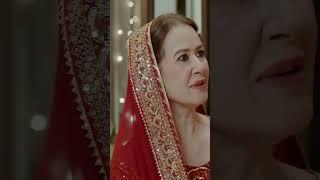  | #sher #shorts #danishtaimour #sarahkhan