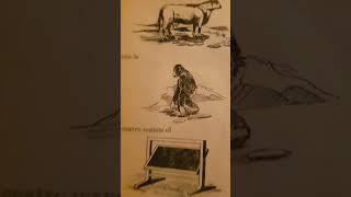 Libro Antiguo Mi Primera Gramática