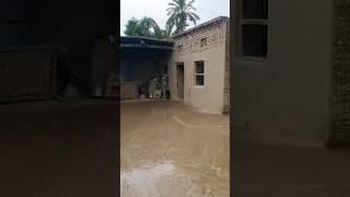 Village Rain In Pakistan