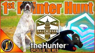 1st Hunt with Pointers & Salzwiesen Park! | EARLY ACCESS | Call of the Wild