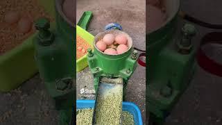 Small 3 rollers animal feed pellet machine for home use