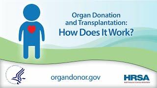 Organ Donation and Transplantation: How Does it Work?