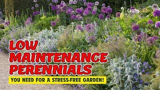  6 LOW MAINTENANCE PERENNIALS YOU NEED FOR A STRESS-FREE GARDEN!  // Gardening Ideas