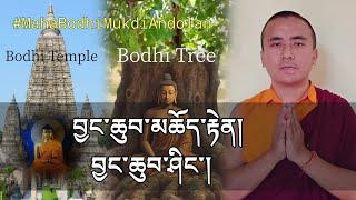 བྱང་ཆུབ་མཆོད་རྟེན། བྱུང་ཆུབ་ཤིང་། Mahabodhi Temple, Bodhitree