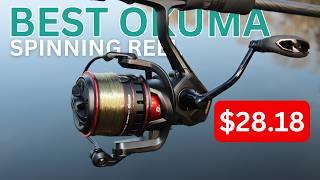 5 Best Cheap OKUMA Spinning Reels UNDER $100