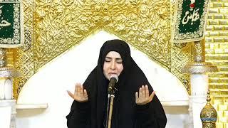 Live Ladies Majlis 1 Muharram 1446 | Mohterma Razia Najfi | Shahe Shaheedan